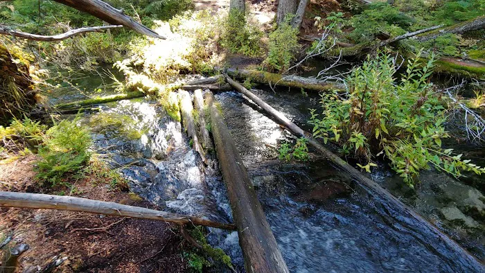 Clearwater Falls Campground (Lower) Picture 6