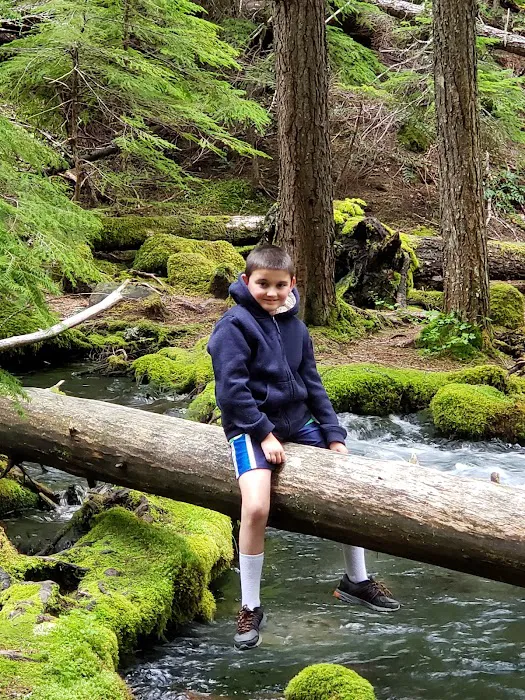 Clearwater Falls Campground (Lower) Picture 3
