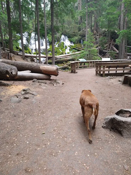 Clearwater Falls Campground (Lower) Picture 2
