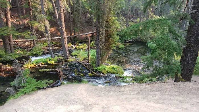 Clearwater Falls Campground (Lower) Picture 9