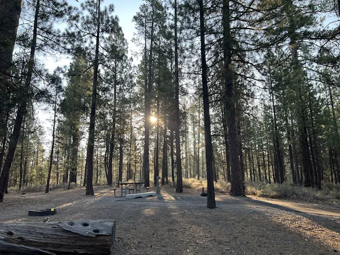 LaPine State Park Campground Picture 7