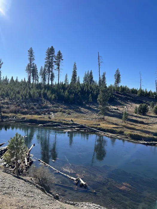 LaPine State Park Campground Picture 2