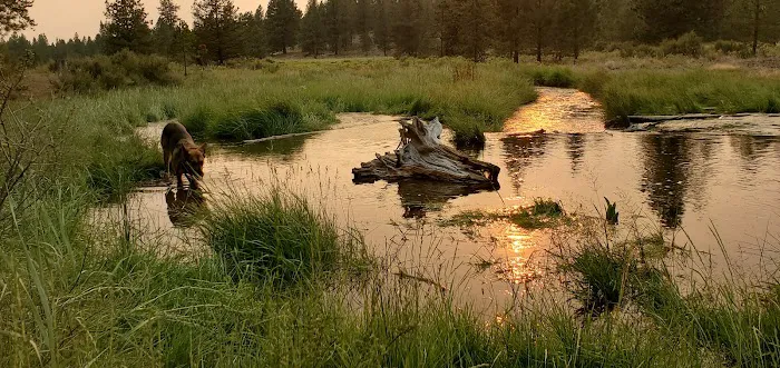 Prairie Campground Picture 5