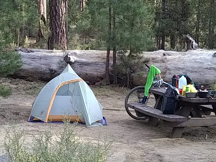 Pringle Falls Campground Picture 7
