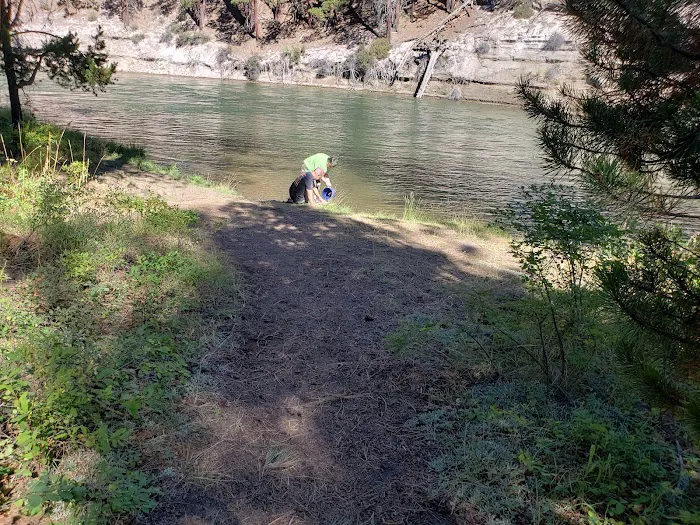 Pringle Falls Campground Picture 6