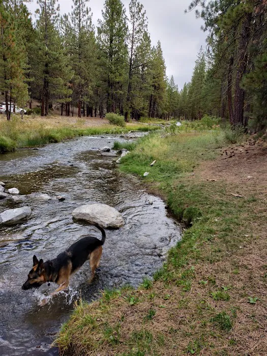 McKay Crossing Campground Picture 5