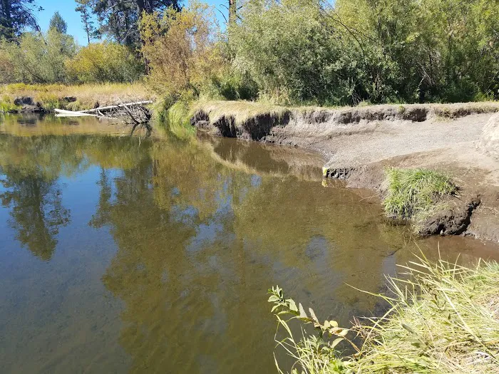 Rosland Campground Picture 2