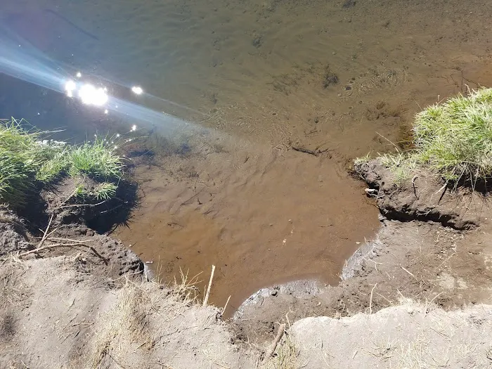 Rosland Campground Picture 4