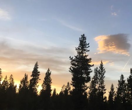 Rosland Campground