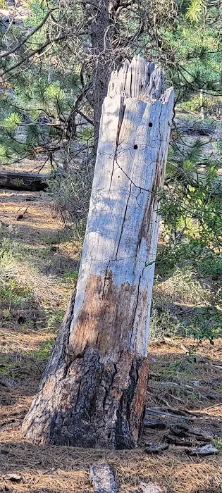 Crescent Creek Campground Picture 2
