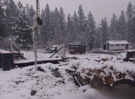 US Forestry Department