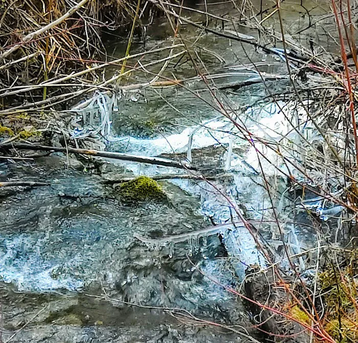 Gold Rush Campground Picture 8