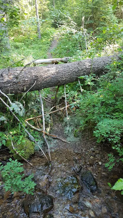 Gold Rush Campground Picture 1