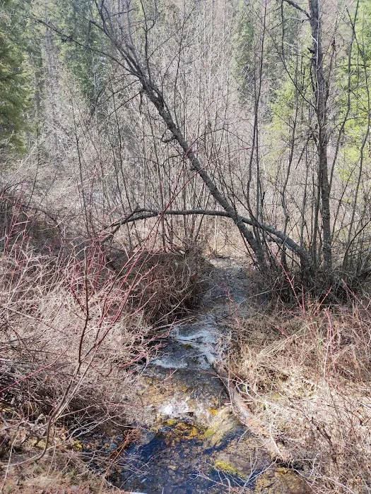 Gold Rush Campground Picture 6