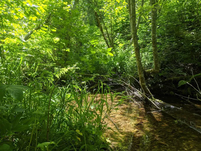 Gold Rush Campground Picture 7