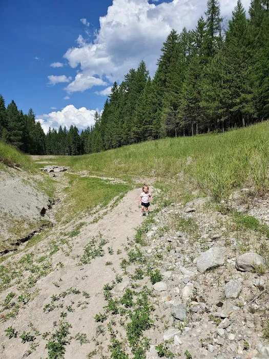 McGillivray Campground Picture 4