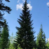 Pleasant Valley Campground ico