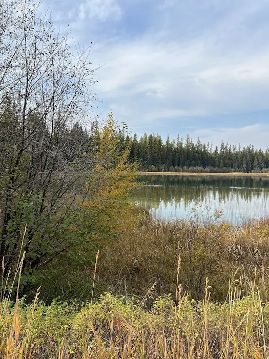 Upper Thompson Lake Campground Picture 3