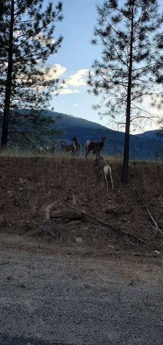 Peck Gulch Campground Picture 8