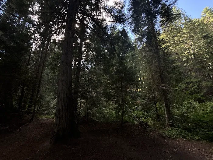 Deer Creek Campground Picture 4