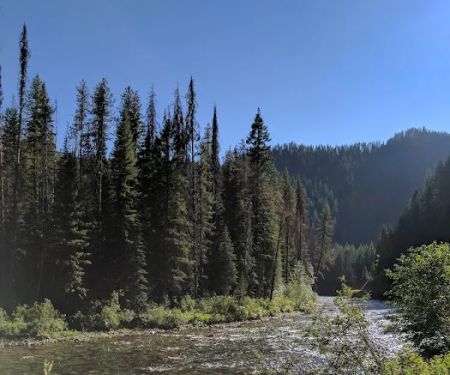 Fly Flat Campground