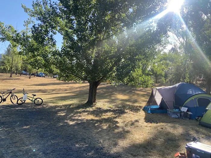 Dworshak Reservoir Grandad Campground Picture 8