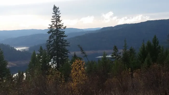 Freeman Creek Campground Picture 5