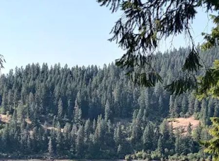 Canyon Creek Campground