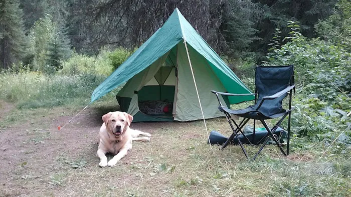 Spruce Tree Campground Picture 4