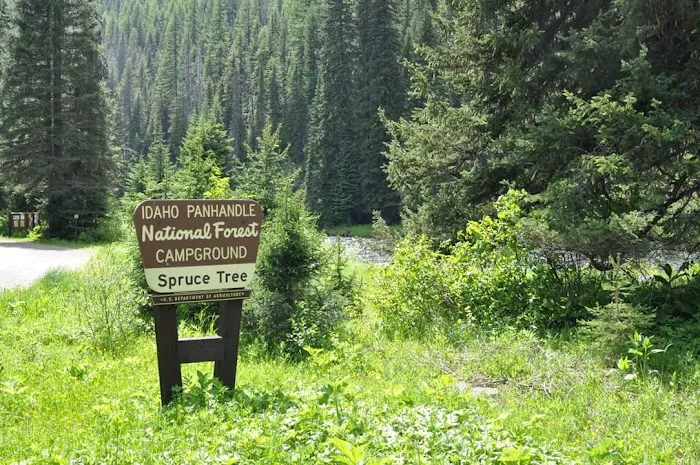 Spruce Tree Campground Picture 8