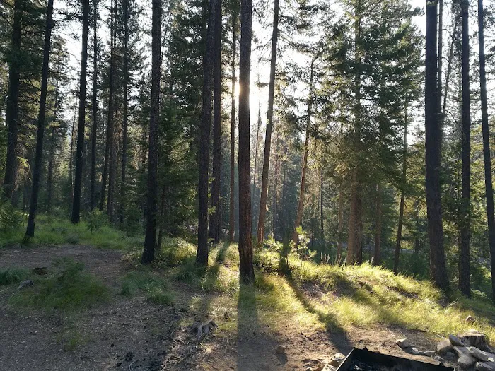Cabin City Campground Picture 2