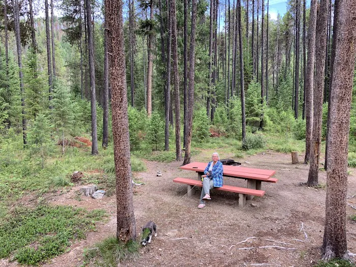Cabin City Campground Picture 10