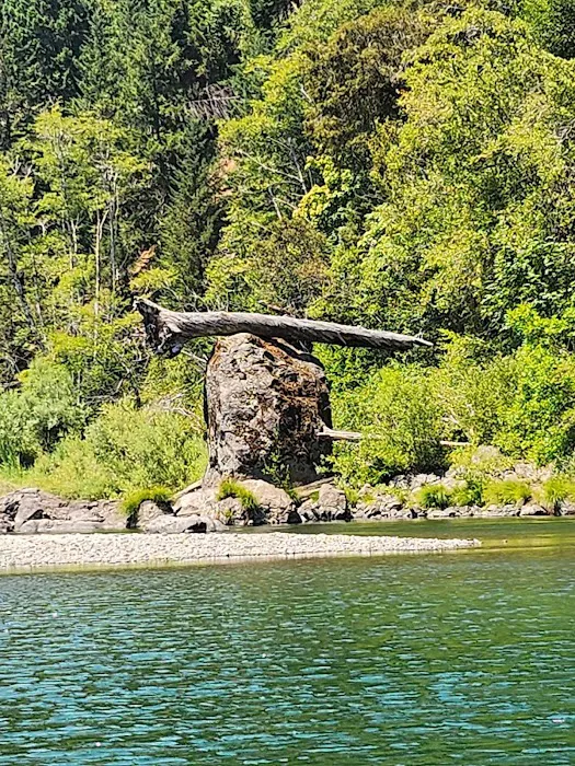 Miller Bar Campground Picture 9