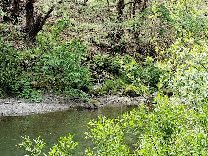 South Fork Camps Campground Picture 7