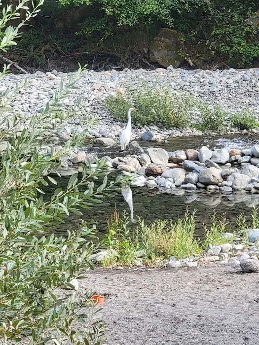 South Fork Camps Campground Picture 8