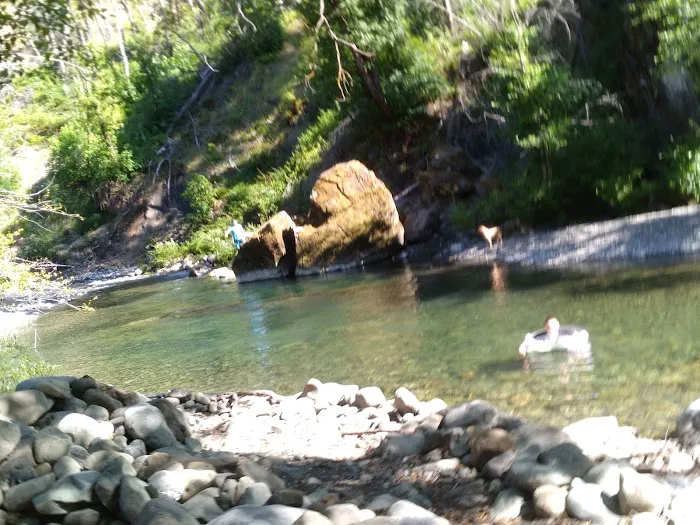 South Fork Camps Campground Picture 2