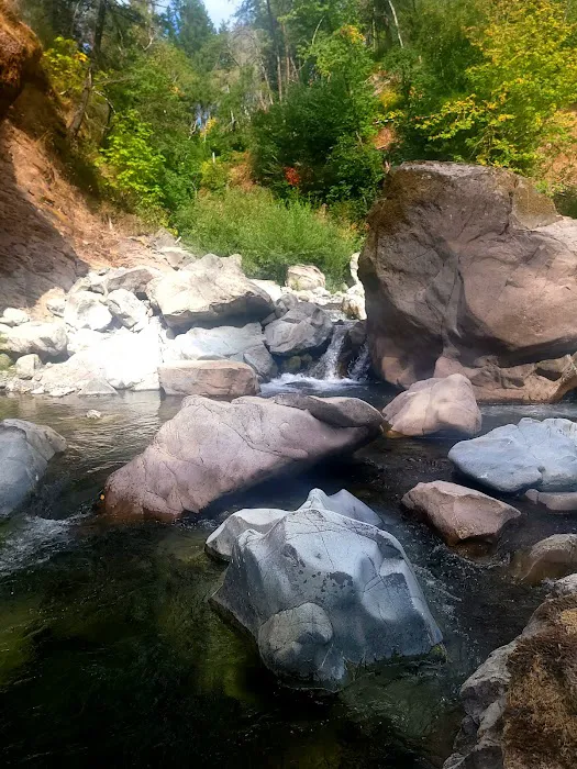 South Fork Camps Campground Picture 3