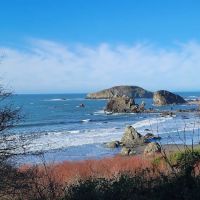 Harris Beach State Park Campground ico