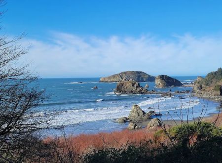 Harris Beach State Park Campground