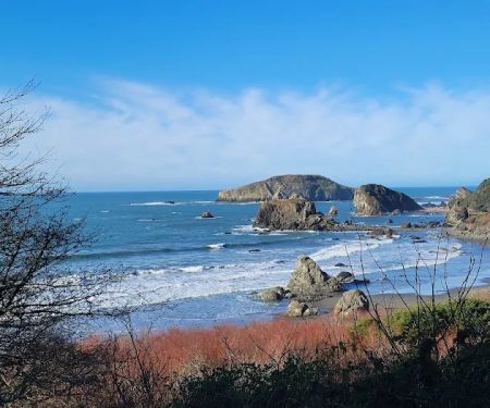 Harris Beach State Park Campground