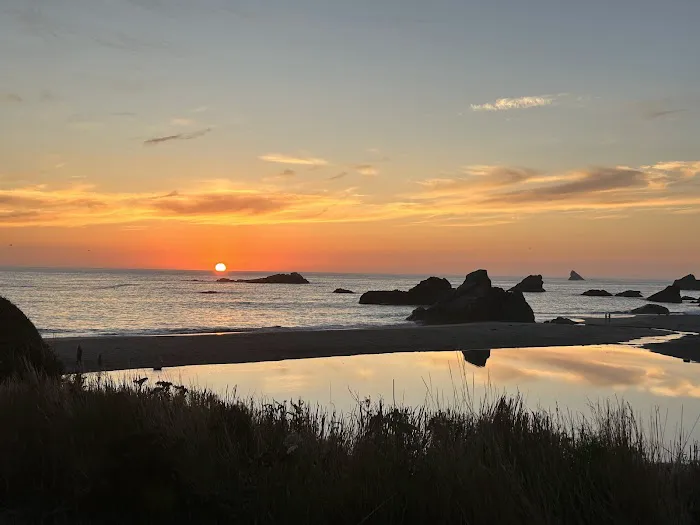 Harris Beach State Park Campground Picture 4