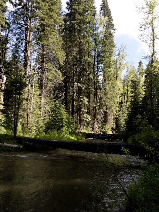 Annie Creek Sno-Park Picture 6