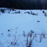 Annie Creek Sno-Park