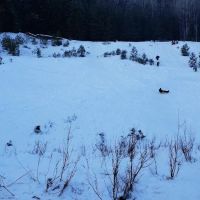 Annie Creek Sno-Park ico