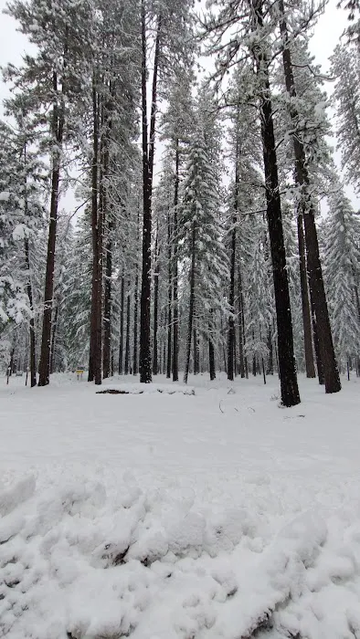 US Forestry Department Picture 6
