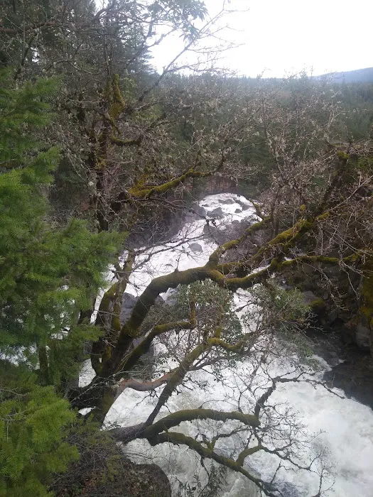 US Forestry Department Picture 4