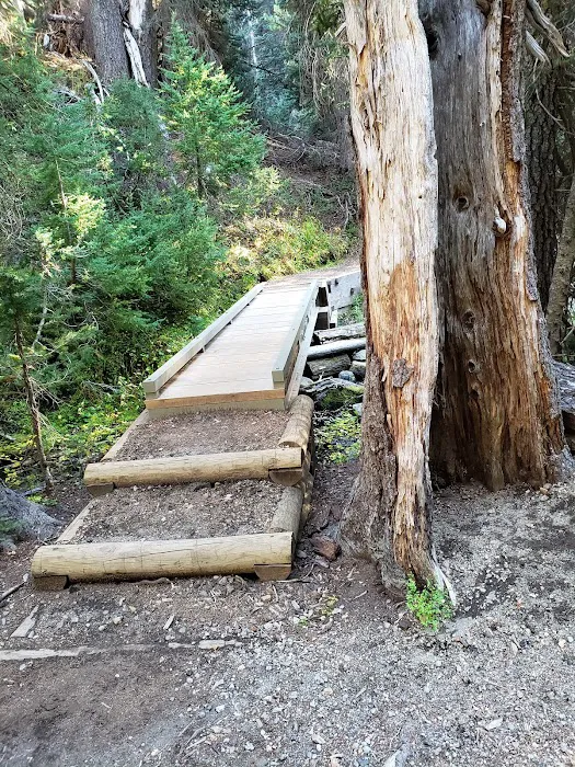 Mazama Campground Picture 5