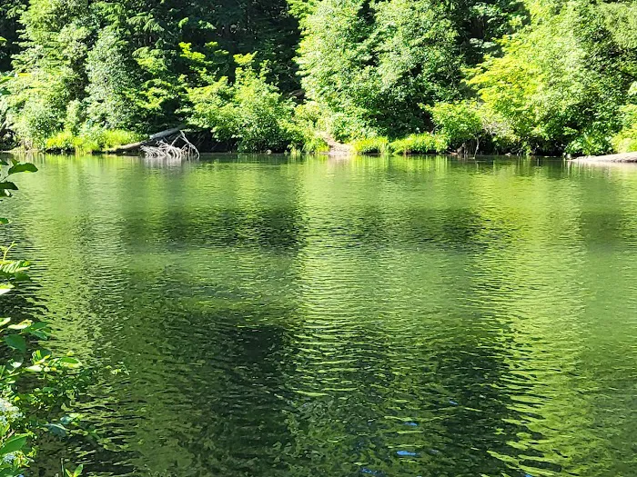 River Bridge Campground Picture 9