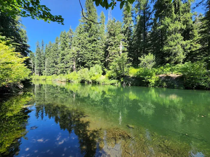 River Bridge Campground Picture 4