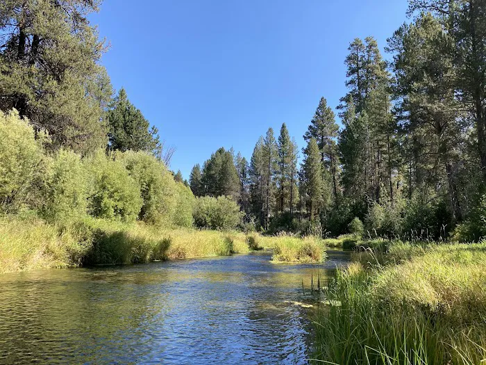 Williamson River Campground Picture 1